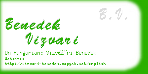 benedek vizvari business card